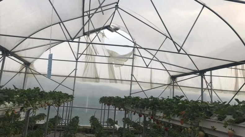 Meteoroloji’nin uyarısından sonra, rüzgarın hızı 90 kilometreyi buldu