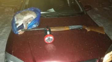 AVA GİTTİLER AVLANDILAR…