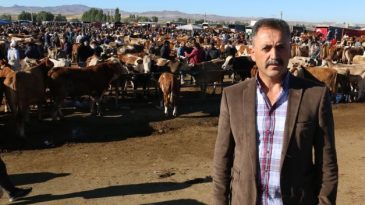 CANLI HAYVAN PAZARI YENİDEN AÇILIYOR