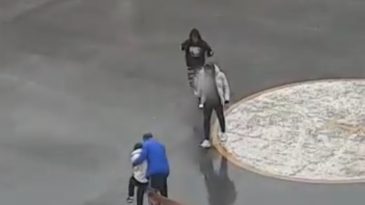 KÖPEK BU KEZ SİVAS’TA SALDIRDI