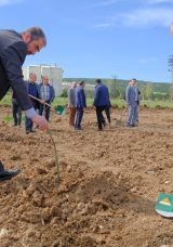 FİDAN DİKİLDİ