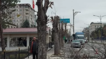 AĞAÇLARI KESEN KİŞİLER MİLLİ EĞİTİM PERSONELİ ÇIKTI.