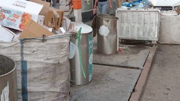 ÇÖPLÜK İÇİNDE LÜKS DAİRELER VE FARELER!