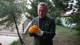 YEDİ UYURLAR SİVAS’TA