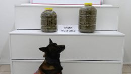 UYUŞTURUCU TACİRLERİ DURMUYOR