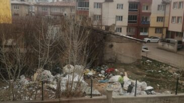 MAHALLEYİ FARE BASTI