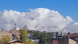 AVRUPA’YA GİDENLER, BOŞ DÖNDÜLER!