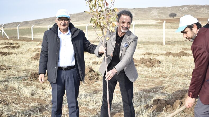 BİNLERCE FİDAN TOPRAKLA BULUŞTU