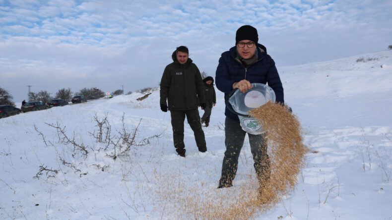 YABAN HAYVANLARI UNUTULMADI