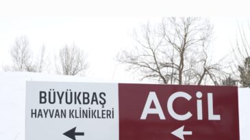 ACİL KLİNİKLİK HİZMETİ SÜRÜYOR