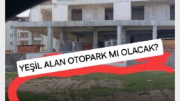 YEŞİLİ BETONA KURBAN EDİYORLAR