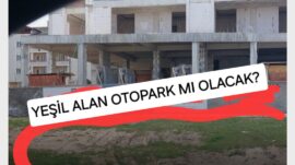 YEŞİLİ BETONA KURBAN EDİYORLAR