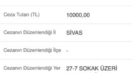 KAPALI YOLLAR, AÇIK CEZALAR. CEZALAR İPTAL EDİLSİN.