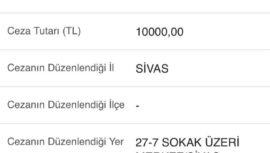 KAPALI YOLLAR, AÇIK CEZALAR. CEZALAR İPTAL EDİLSİN.
