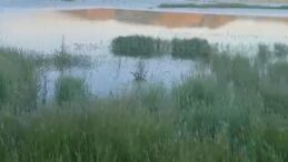 ARAZİLER SULAR ALTINDA KALDI