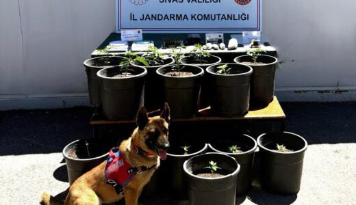 SİVAS’TA UYUŞTURUCU OPERASYONU: 5 ŞÜPHELİ YAKALANDI
