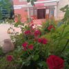 CENNET BAHÇESİNİ ANDIRAN BİR HUZUR…
