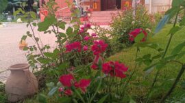 CENNET BAHÇESİNİ ANDIRAN BİR HUZUR…