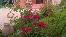 CENNET BAHÇESİNİ ANDIRAN BİR HUZUR…