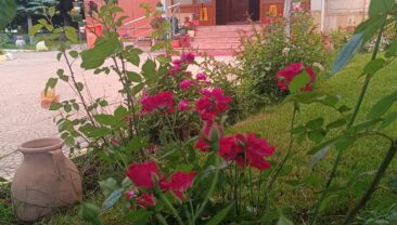 CENNET BAHÇESİNİ ANDIRAN BİR HUZUR…