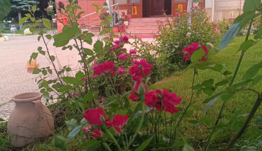 CENNET BAHÇESİNİ ANDIRAN BİR HUZUR…