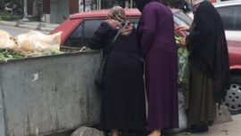 İNSANCA YAŞIYOR SANIYORLAR…