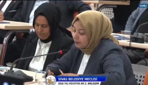 SİZ NE DEMEK İSTEDİNİZ?