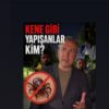 KENE GİBİ YAPIŞMIŞLAR DA, ŞEHİR YÖNETİMİ NEREDE?