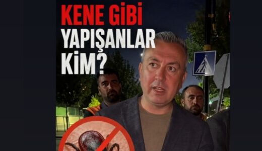 KENE GİBİ YAPIŞMIŞLAR DA, ŞEHİR YÖNETİMİ NEREDE?