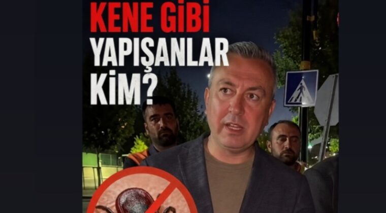 KENE GİBİ YAPIŞMIŞLAR DA, ŞEHİR YÖNETİMİ NEREDE?