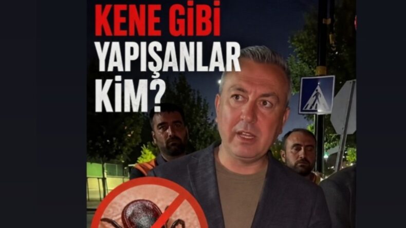KENE GİBİ YAPIŞMIŞLAR DA, ŞEHİR YÖNETİMİ NEREDE?
