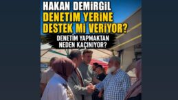 DENETİM YERİNE DESTEK Mİ?