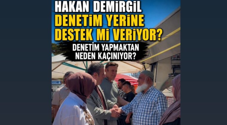DENETİM YERİNE DESTEK Mİ?